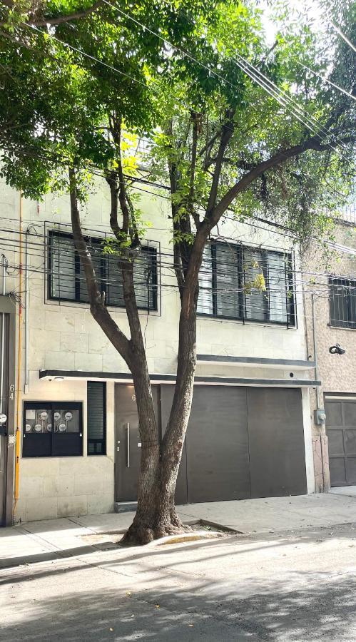 Condesa Lives Lägenhet Mexico City Exteriör bild